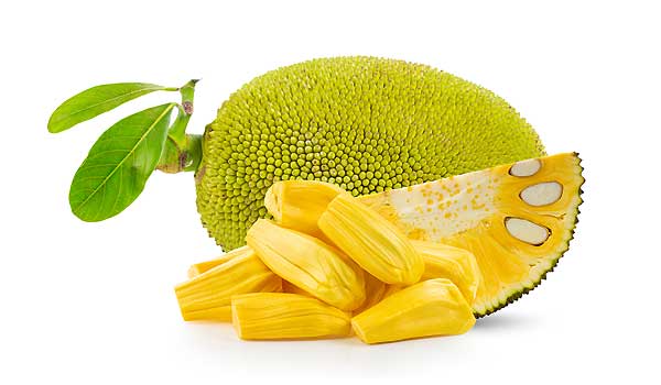 Yummy Jackfruit Recipes For Vegans